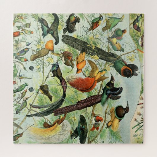  vogels Voorbeeld van oude boeken Kunstdieren Legpuzzel (Horizontaal)