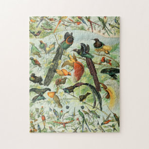 vogels Voorbeeld van oude boeken Kunstdieren Legpuzzel