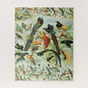 vogels Voorbeeld van oude boeken Kunstdieren Legpuzzel