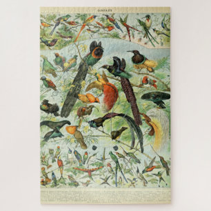 vogels Voorbeeld van oude boeken Kunstdieren Legpuzzel
