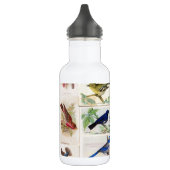 vogels waterfles  (Links)