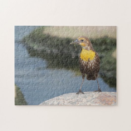 Vogels weide leeuwerik. legpuzzel (Horizontaal)