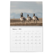 Vogels Wildlife Foto 2026 Kalender (Feb 2026)
