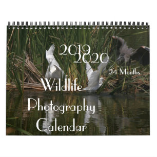 Vogels Wildlife Fotografie 2019 2020 Agenda Kalender