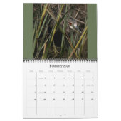 Vogels Wildlife Fotografie 2019 2020 Agenda Kalender (Feb 2026)