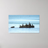 Vogels, Zee foto stretched canvas Print (Voorkant)