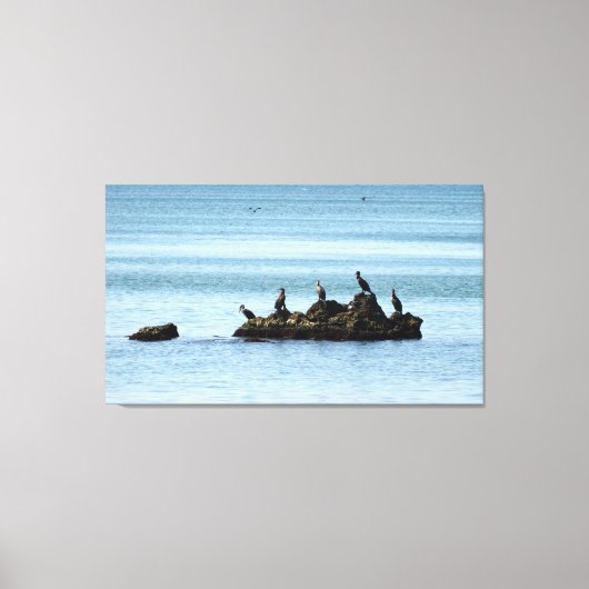 Vogels, Zee foto stretched canvas Print (Voorkant)