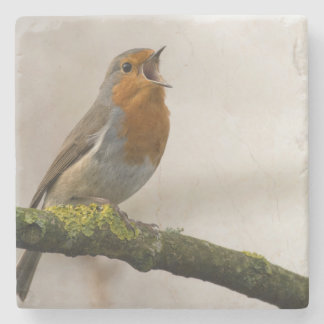 vogels zijn de enige dieren met veren 3 stenen onderzetter