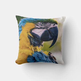 vogels zijn de enige dieren met veren 8 kussen