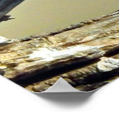 vogels zijn de enige dieren met veren poster (Hoek)