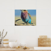 vogels zijn de enige dieren met veren poster (Keuken)