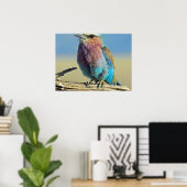 vogels zijn de enige dieren met veren poster (Thuiskantoor)