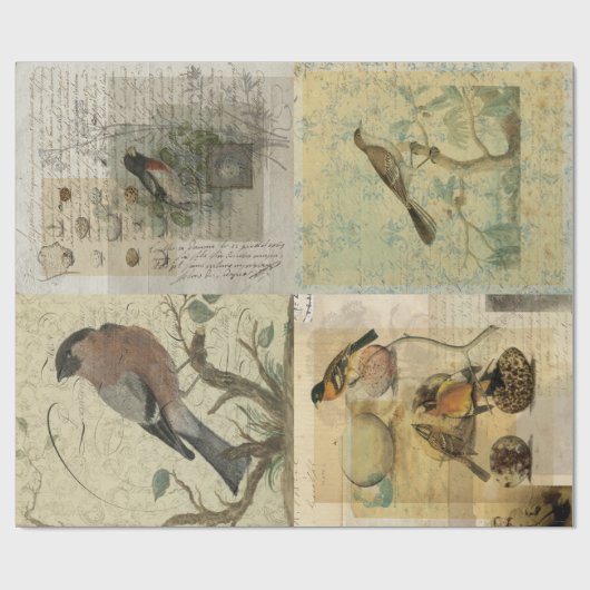  vogelsamenstellingen — Ontschafpapier/omslagpapie Cadeaupapier (Vlak)