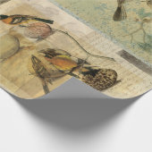  vogelsamenstellingen — Ontschafpapier/omslagpapie Cadeaupapier (Hoek)