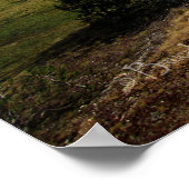 Vogelsang Valley - Yosemite Poster (Hoek)