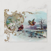 Vogelscene Briefkaart (Voorkant)