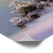 Vogelscène, WinterSanctuary Poster (Hoek)