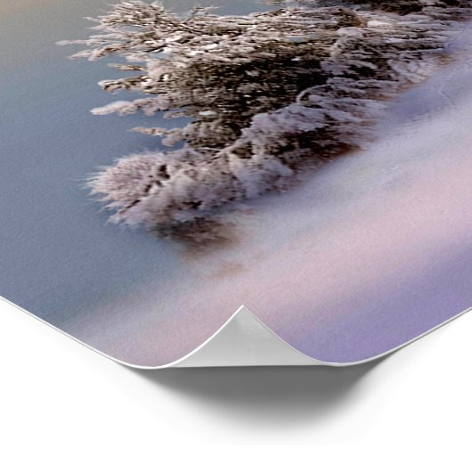 Vogelscène, WinterSanctuary Poster (Hoek)