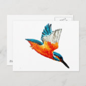 Vogelschilders Flying Kingfisher Briefkaart (Voorkant / Achterkant)