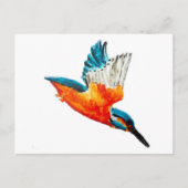 Vogelschilders Flying Kingfisher Briefkaart (Voorkant)