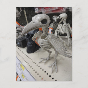 Vogelskelet Decoratie Briefkaart