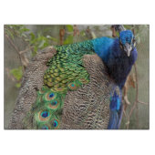 Vogelsnijbok Snijplank (Voorkant)