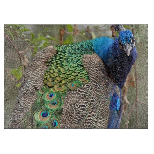 Vogelsnijbok Snijplank (Voorkant)