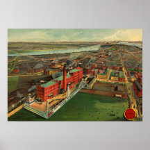  vogelsoort Uitzicht van Boston Circa 1902