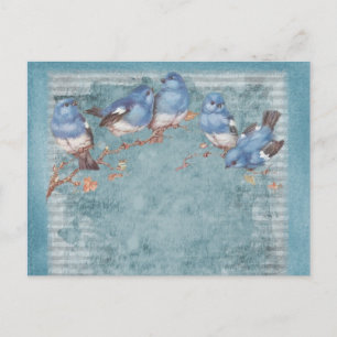 vogelsoorten in Shabby Chic Briefkaart