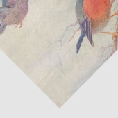  vogelsoorten rode gebrouwen vogels op een tak tissuepapier (Detail)