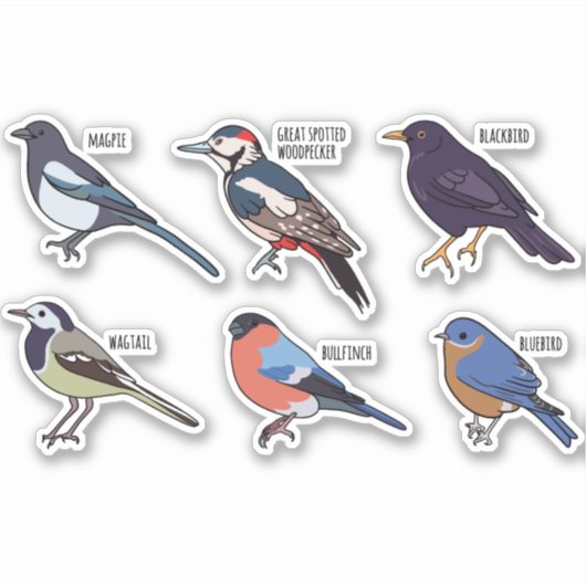 VOGELSOORTEN SET STICKER (Voorkant)