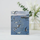  vogelsoorten, zeegarren en Vissende boten Briefkaart (Staand voorkant)