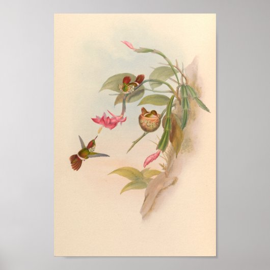  vogelstand Art Bird Print Flowers Nest (Voorkant)