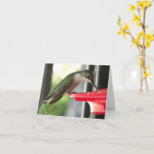 Vogelstand bij invoer foto blanco kaart (Gele Bloem)