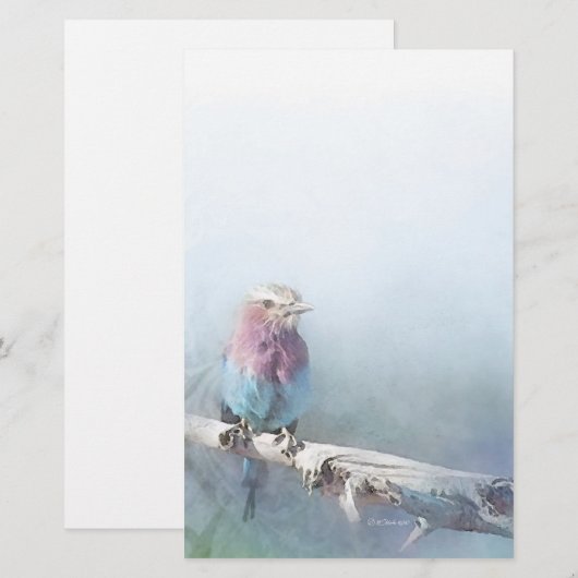  vogelstand - Briefpapier (Voorkant / Achterkant)