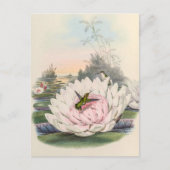 vogelstand door John Gould Briefkaart (Voorkant)