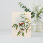 vogelstand door John Gould Briefkaart (Staand voorkant)
