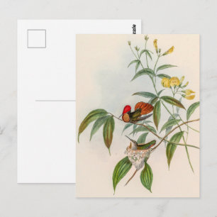  vogelstand door John Gould Briefkaart