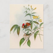 vogelstand door John Gould Briefkaart (Voorkant)
