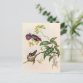 vogelstand door John Gould Briefkaart (Staand voorkant)