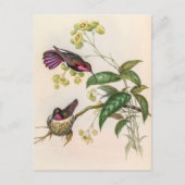 vogelstand door John Gould Briefkaart (Voorkant)