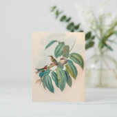vogelstand door John Gould Briefkaart (Staand voorkant)