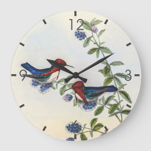 vogelstand door John Gould Grote Klok (Voorkant)