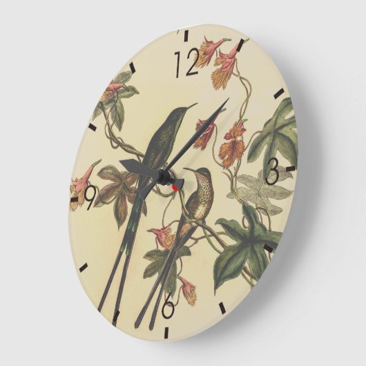  vogelstand door John Gould Grote Klok (Hoek)