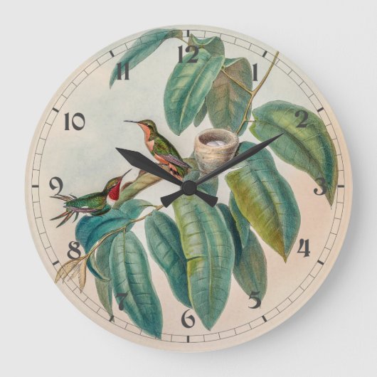  vogelstand door John Gould Grote Klok (Voorkant)