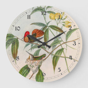 vogelstand door John Gould Grote Klok