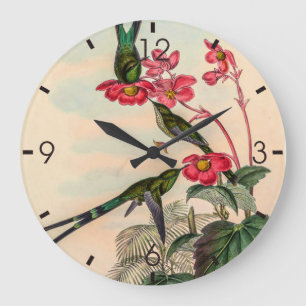  vogelstand door John Gould Grote Klok