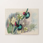 vogelstand door John Gould Legpuzzel (Horizontaal)