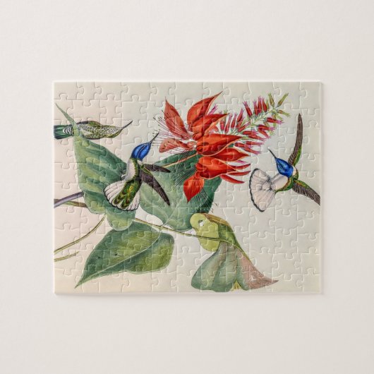  vogelstand door John Gould Legpuzzel (Horizontaal)