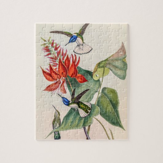  vogelstand door John Gould Legpuzzel (Verticaal)